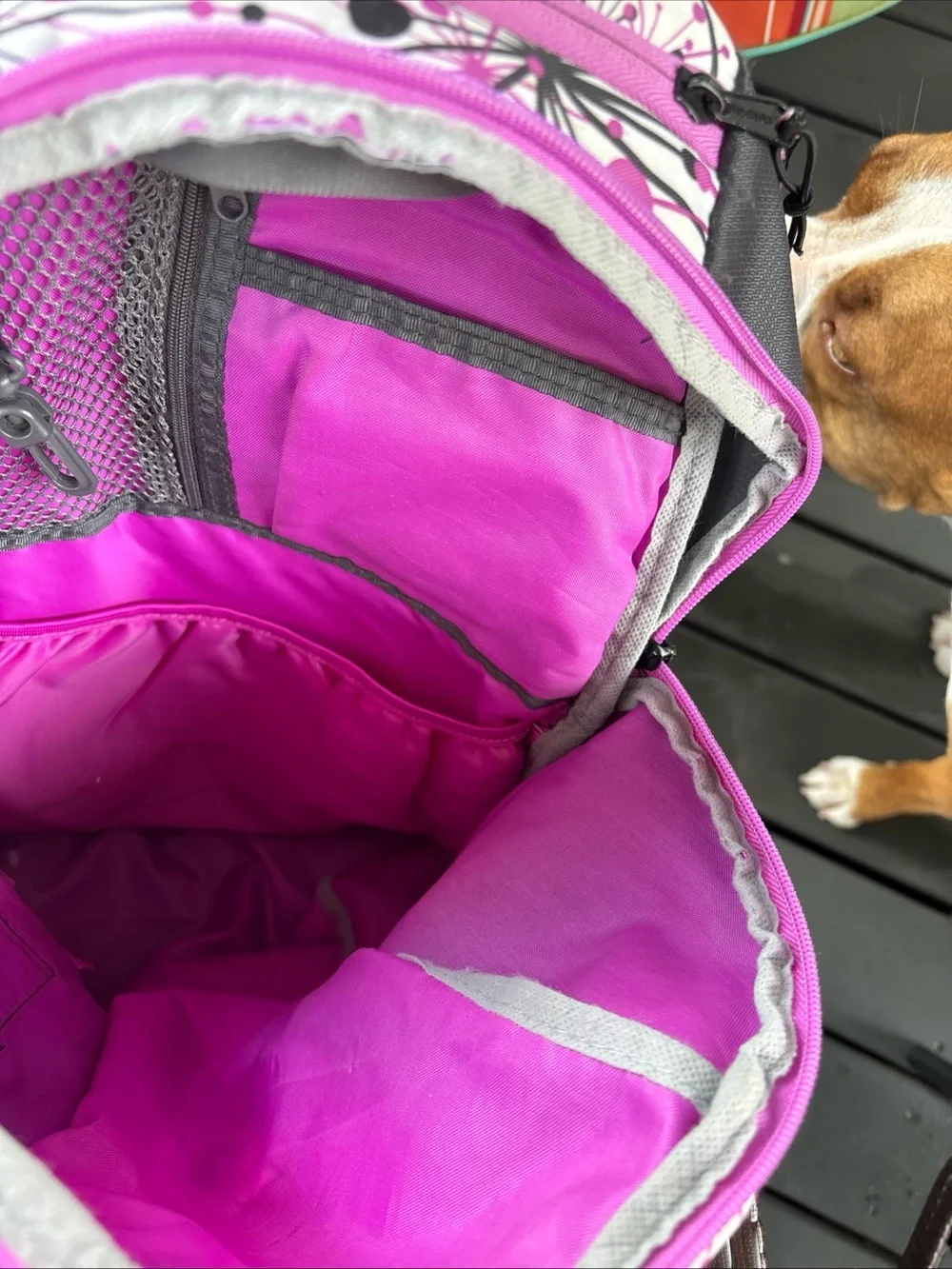 Source Unknown Kids Backpack in Gray and Pink